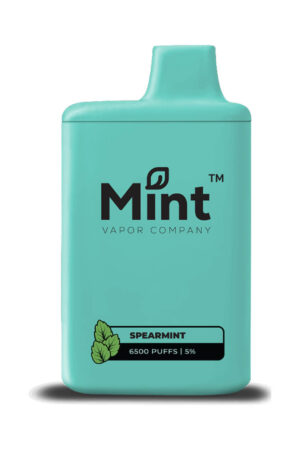 Mint Vapor 6500 Puff Disposable