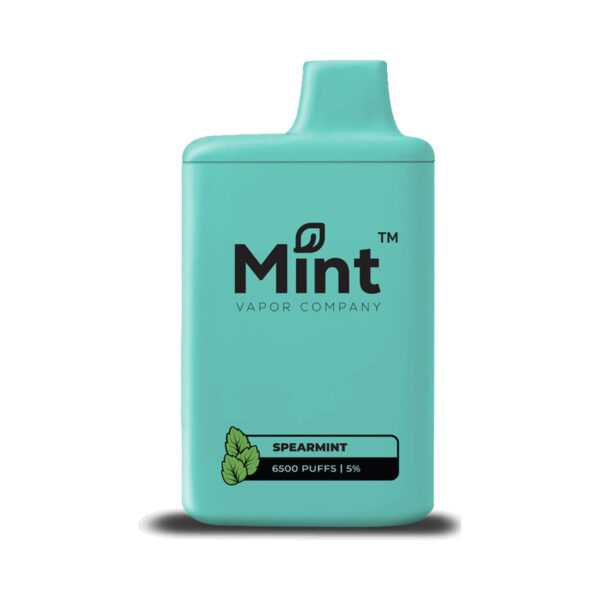 Mint Vapor 6500 Puff Disposable