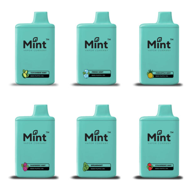 Mint Vapor 6500 Puff Disposable - Image 2