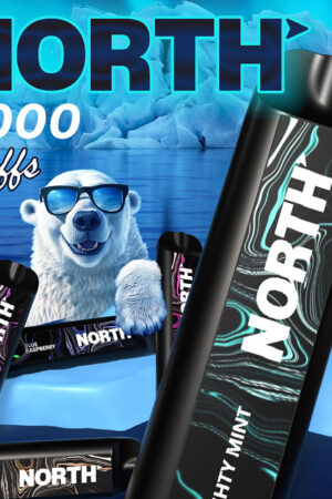 North 5000 Puff Disposable