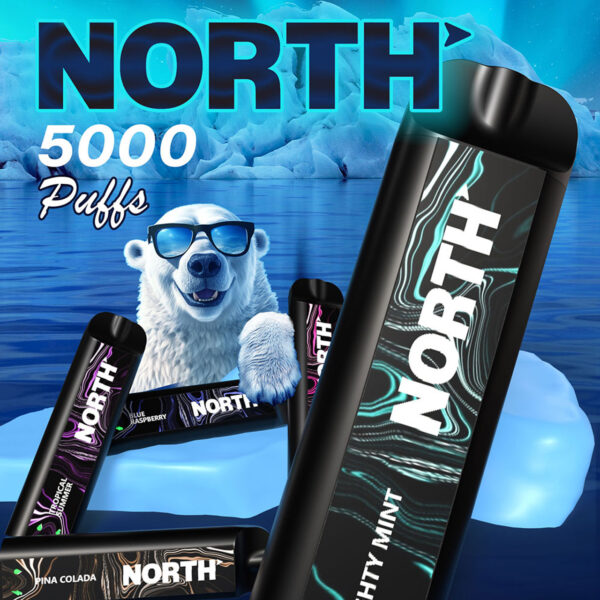 North 5000 Puff Disposable