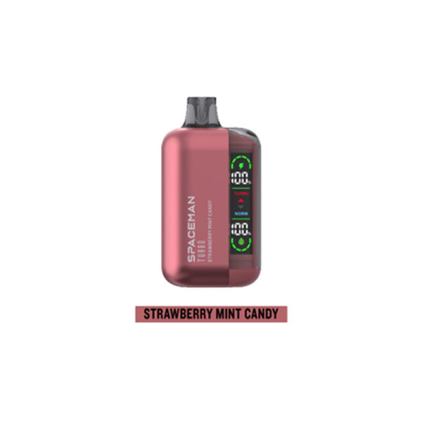 SMOK Spaceman Turbo Disposable Vape | 14000 Puffs - Image 9